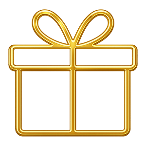 EL REGALO PERFECTO PRESENTACION PREMIUM