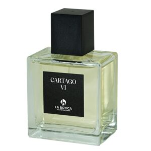 Alternative view of Perfume Hombre Cartago VI - 100 ml