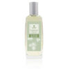 Ambientador Pulverizador Raíz Angélica 100ml