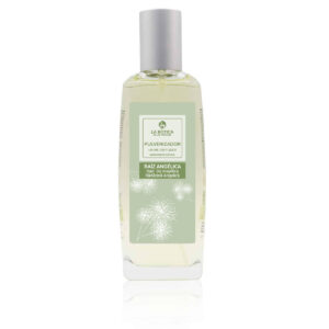 Ambientador Pulverizador Raíz Angélica 100ml