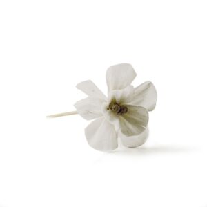 Difusor Flor Lisianthus Mikado